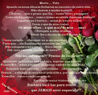 /album/a-minha-cidade-natal/rosa-branca-rosa-vermelha-jpg/
